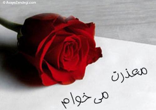 آوای زندگی