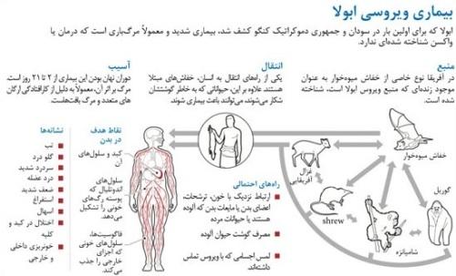 ویروس ابولا چیست؟