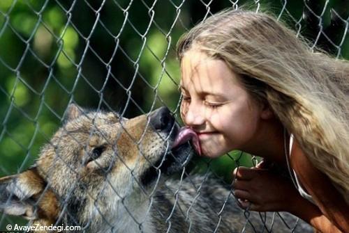 دخترکی که گرگ‌ها را رام می‌کند