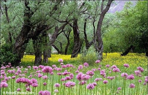 سفر به هند کوچک ایران