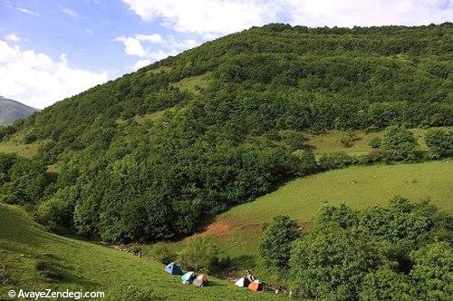 جنگل‌های ارسباران