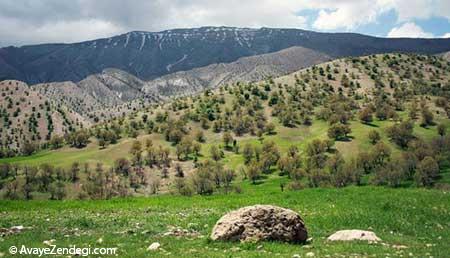  جاذبه های گردشگری ایلام 