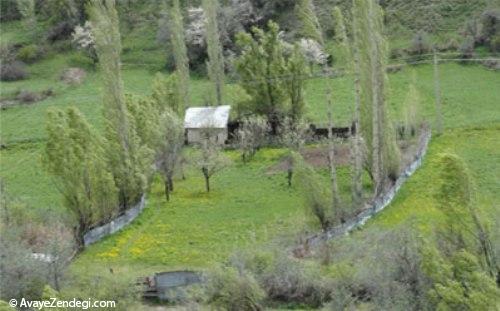  سفری دیدنی به آسارا 