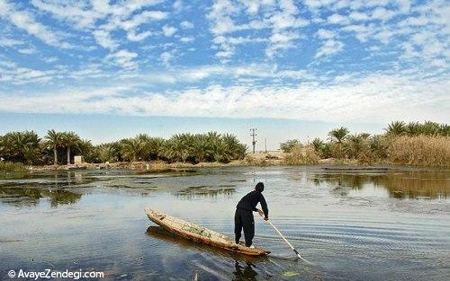  تالاب بین المللی شادگان 