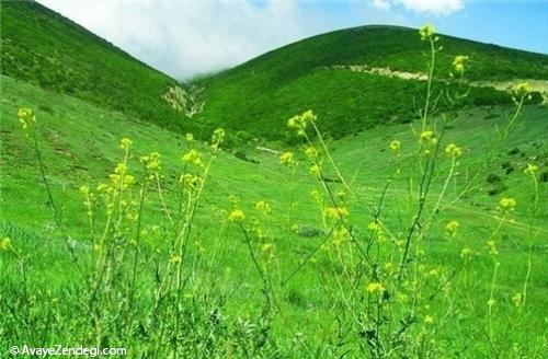  فینارود خلخال، نقطه تلاقی جنگل، کوهستان و دریاچه 