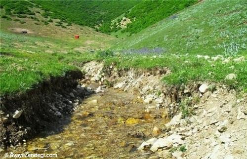  فینارود خلخال، نقطه تلاقی جنگل، کوهستان و دریاچه 