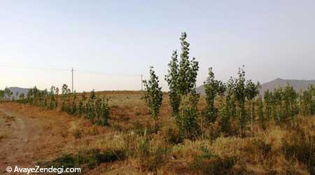  لرستان یکی از استان‌های زیبا در غرب ایران 