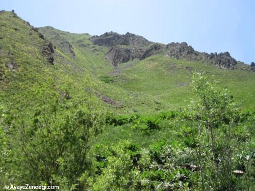  دشت زیبای جانستون با مناظر دل انگیز 