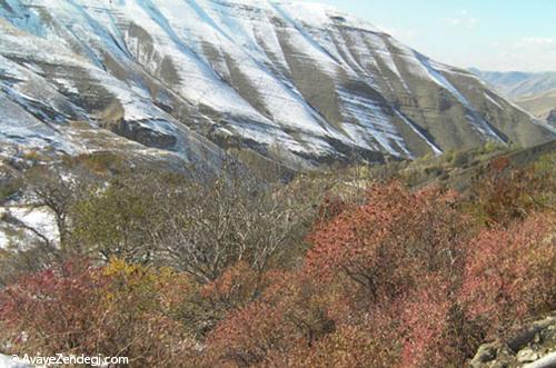 خور؛ یک روستای خوب 