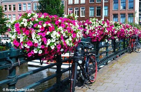  آمستردام، شهر گل و دوچرخه 