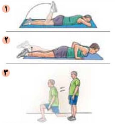  توانبخشی و تقویت عضلات پشت ران یا همسترینگ 