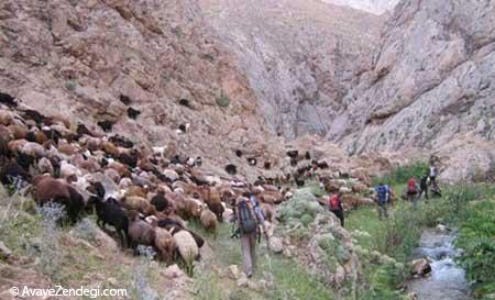 روستای لَزور یکی از قطبهای گردشگری فیروزکوه روستای لَزور یکی از قطبهای گردشگری فیروزکوه