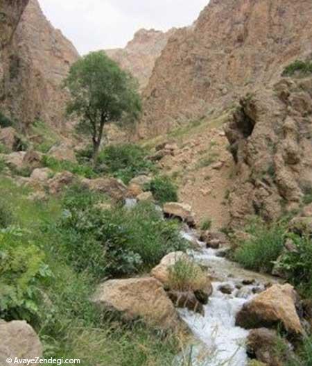 روستای لَزور یکی از قطبهای گردشگری فیروزکوه روستای لَزور یکی از قطبهای گردشگری فیروزکوه