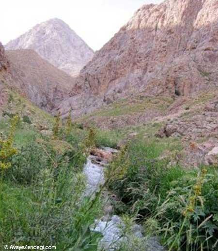 روستای لَزور یکی از قطبهای گردشگری فیروزکوه روستای لَزور یکی از قطبهای گردشگری فیروزکوه