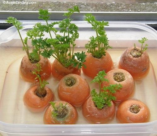 آموزش کاشت راحت سبزیجات مورد استفاده شما در خانه