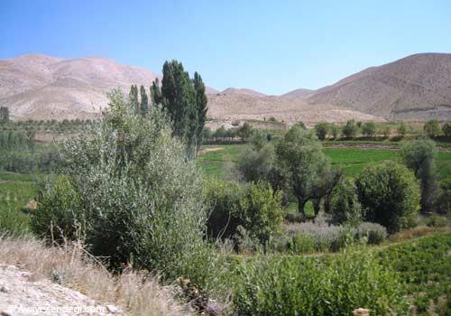  تنگه واشی؛ پیاده‌روی دلچسب در رودخانه 