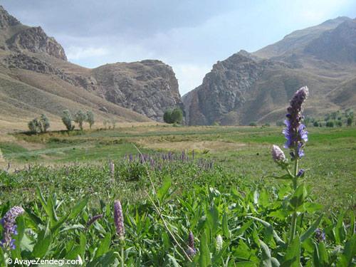  تنگه واشی؛ پیاده‌روی دلچسب در رودخانه 