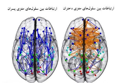 تفاوت‌های مغزی دختران و پسران 