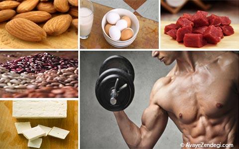 بهترین منابع غذایی پروتئین برای رشد عضلات