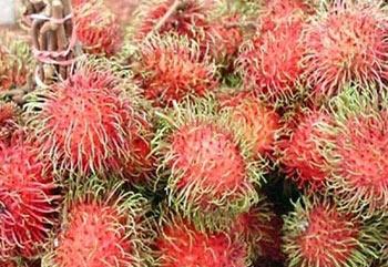 آشنایی با 16 میوه لوکس و عجیب غریب