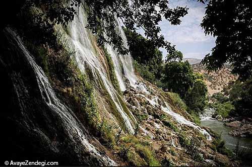 شنا در بیشه درود لرستان 