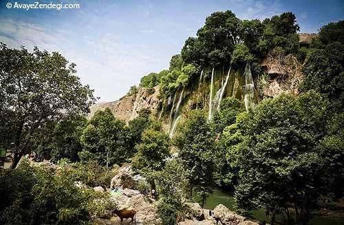 شنا در بیشه درود لرستان 