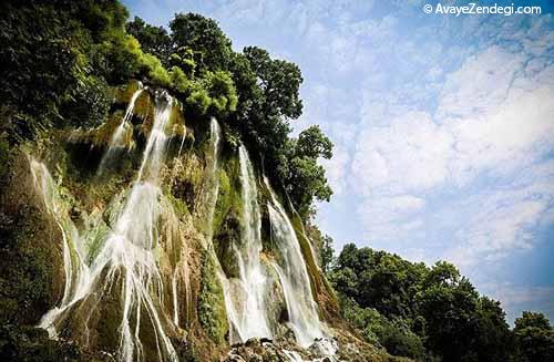 شنا در بیشه درود لرستان 