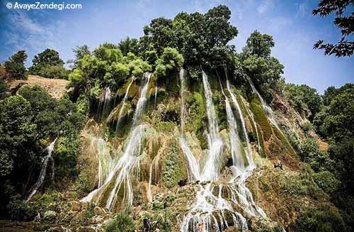 شنا در بیشه درود لرستان