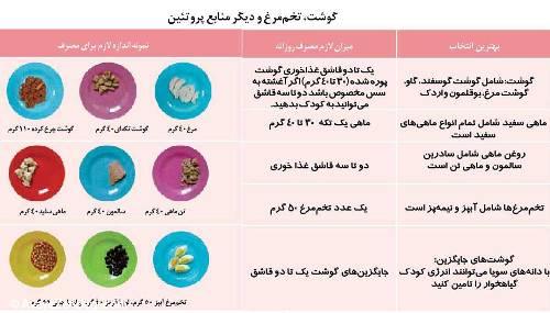  بهترین بشقاب غذایی برای کودک شما 