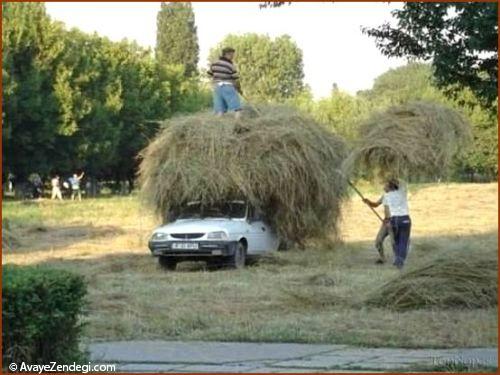 باربری جالب و عجیب