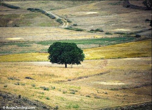 طبیعت زیبای جاده های شمال