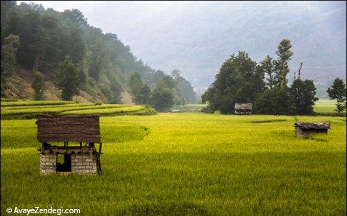 طبیعت زیبای جاده های شمال