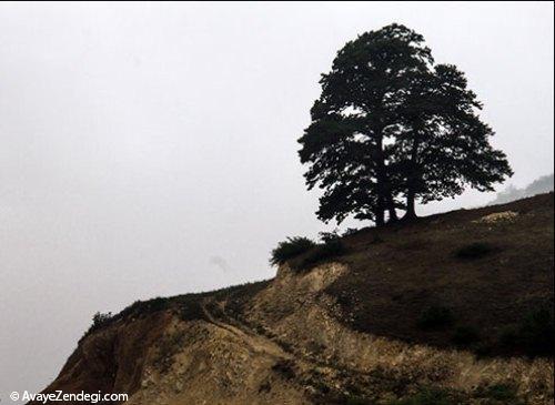 طبیعت زیبای جاده های شمال