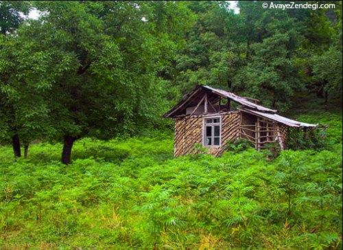 طبیعت زیبای جاده های شمال