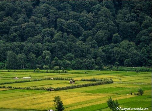 طبیعت زیبای جاده های شمال