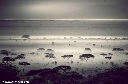هیجان در تانزانیا، بهشت آفریقا