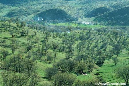 بزرگترین پارک های جنگلی ایران