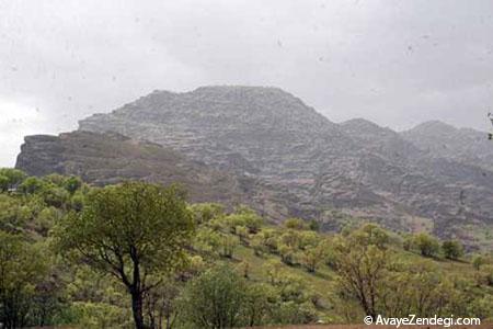 بزرگترین پارک های جنگلی ایران