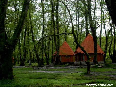 بزرگترین پارک های جنگلی ایران