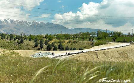 بزرگترین پارک های جنگلی ایران