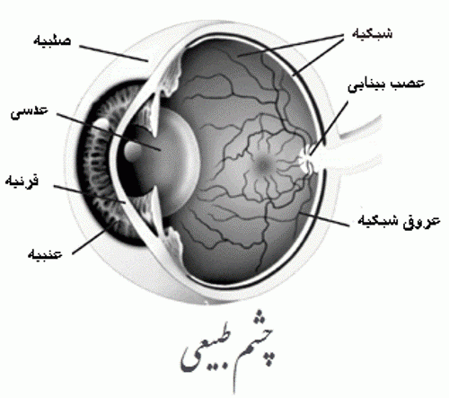 چشم