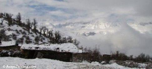 سفری بر فراز مازیچال مازندران 