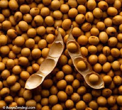  مواد غذایی محافظ غضروف‌ها از باور تا واقعیت 