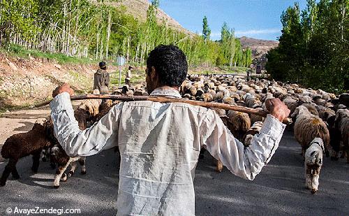 زندگی عشایر قشقایی 