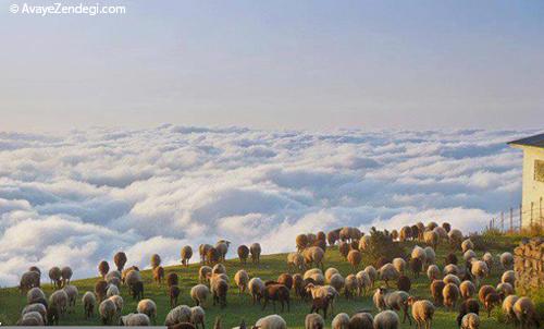 راه رفتن روی ابر و مه در فیلبند راه رفتن روی ابر و مه در فیلبند