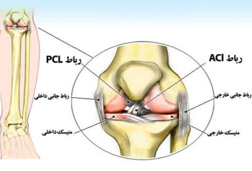 آوای زندگی