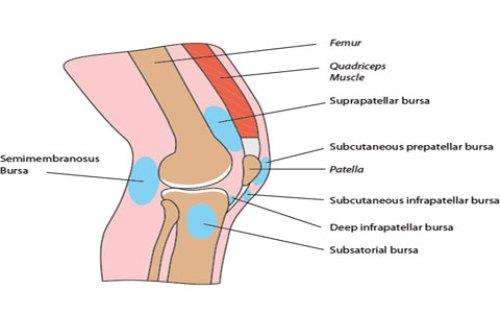  آسیب های زانو 