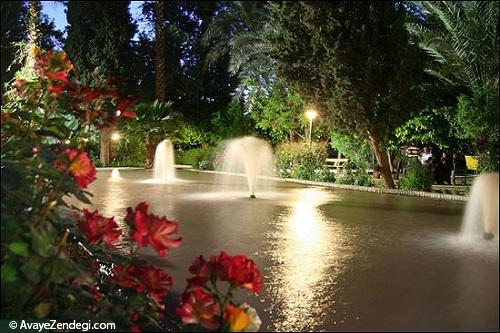 طبس، عروس کویر ایران
