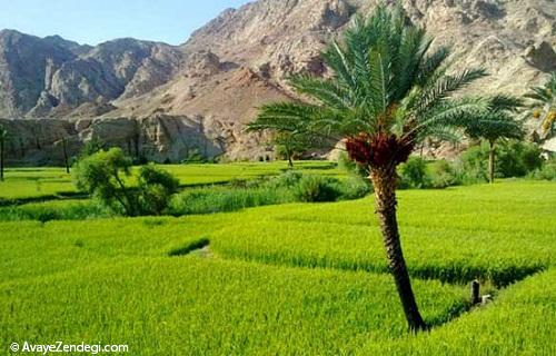 طبس، عروس کویر ایران