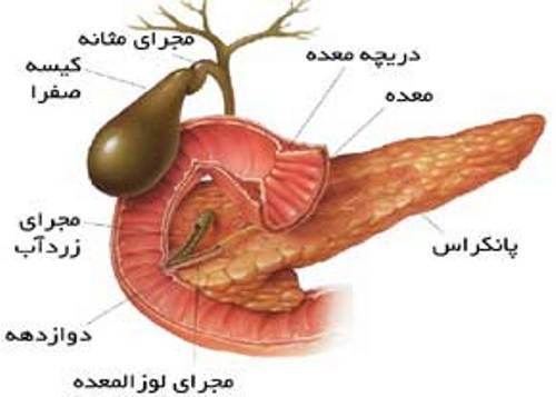 نشانه های مشکلات کیسه صفرا